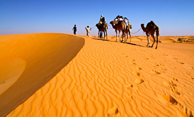 5 ������ �������� ��������� ���������� ����������