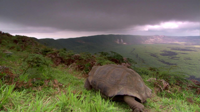 ����������: ��������� ���