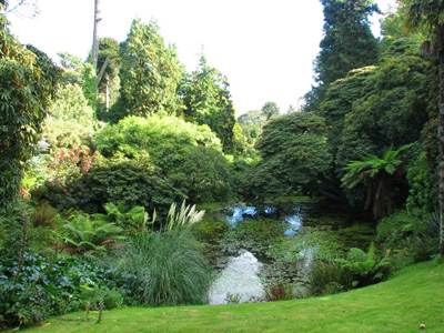 ���� �������� � ������������ ������ ������