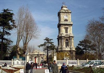 ������: �������