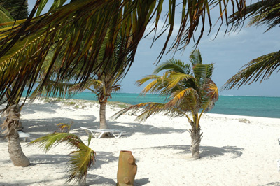 ������ ����. ��������